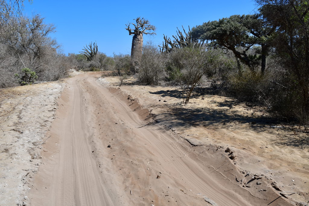 Piste to Toliara